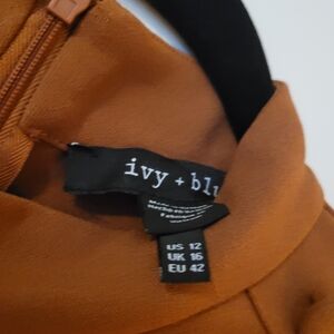 Burnt orange Dress by Ivy + Blu